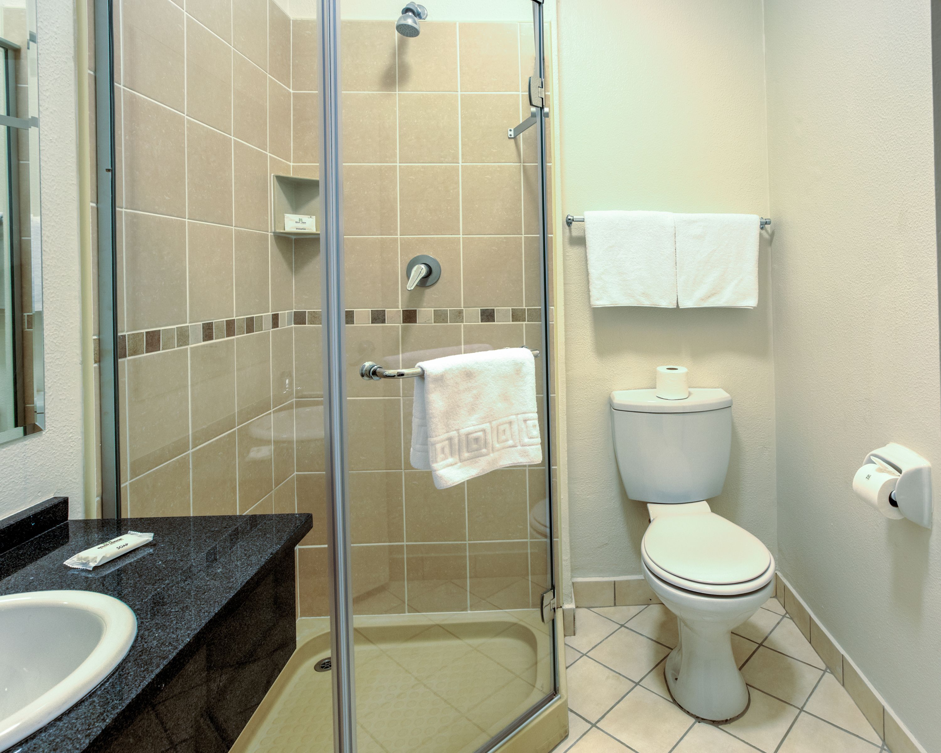 A bathroom with a shower, toilet, and sink.