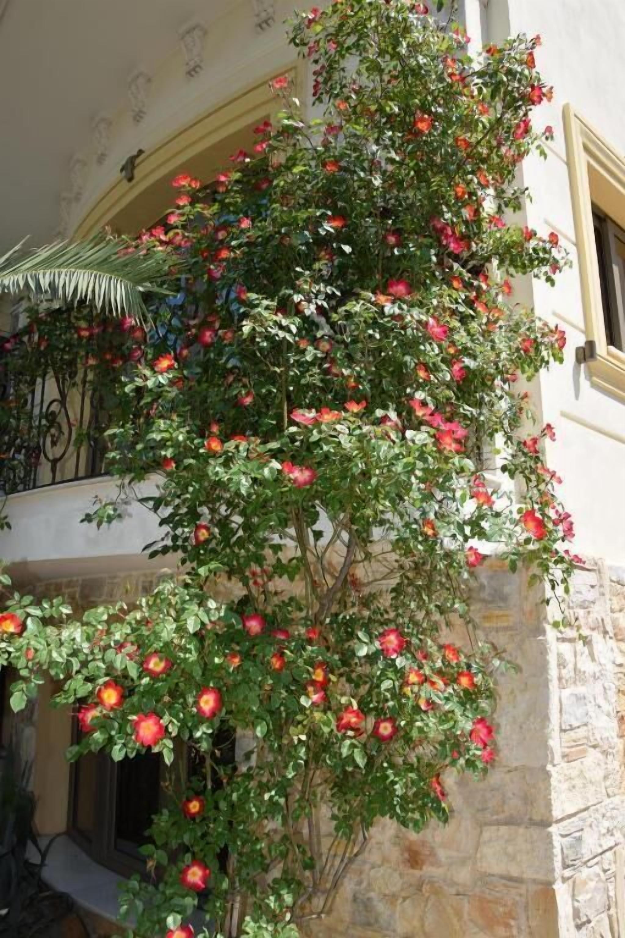 Ropa de cama hipoalergénica y caja de seguridad en la habitación 