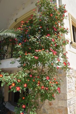 Ropa de cama hipoalergénica y caja de seguridad en la habitación