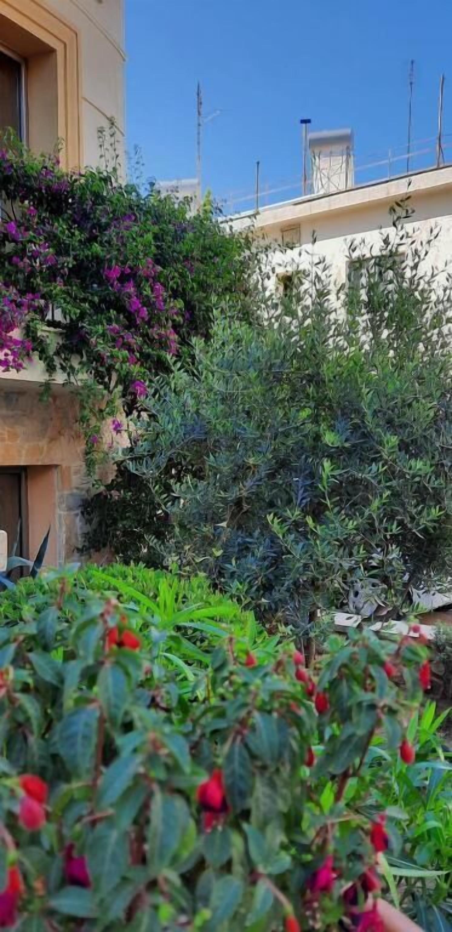 Foto - Olympic Fashion Hotels