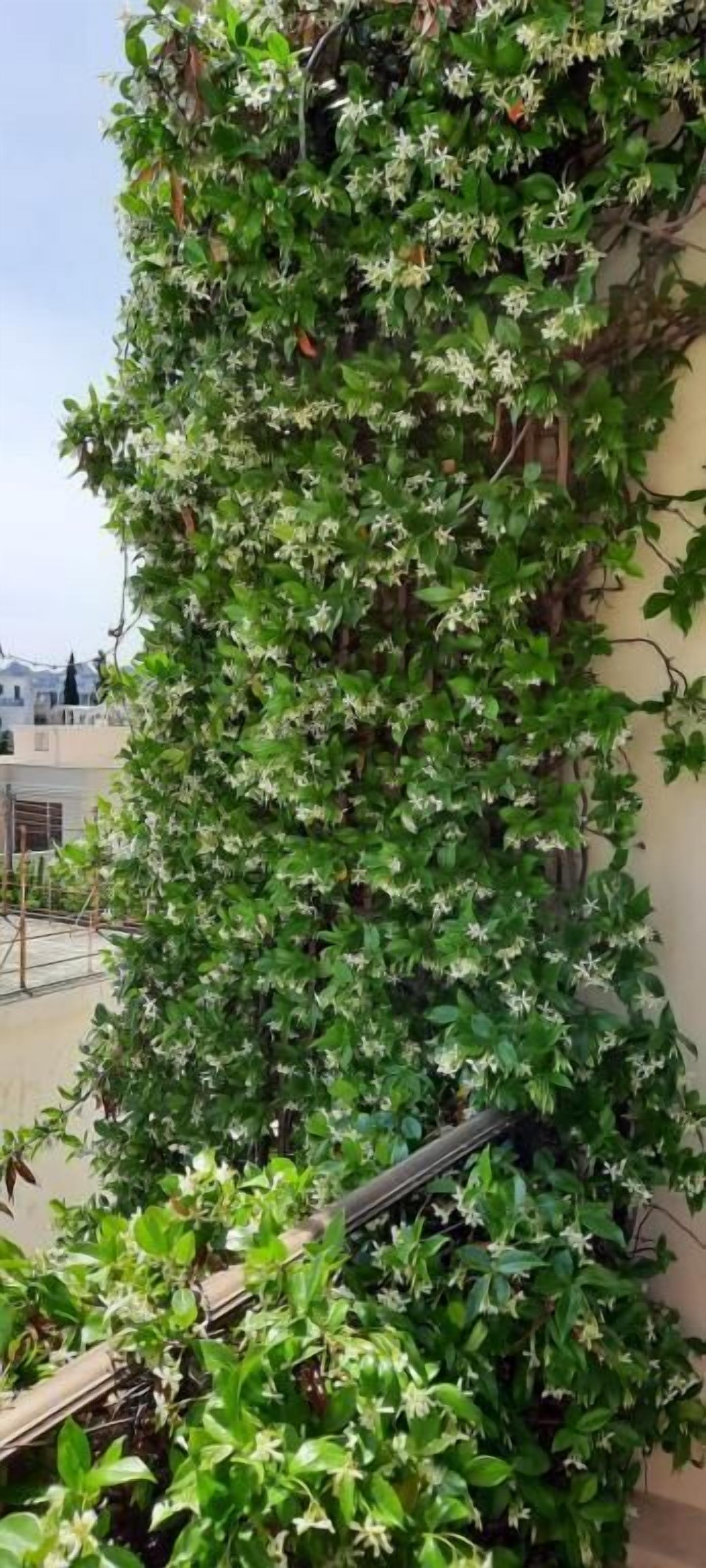 Foto - Olympic Fashion Hotels