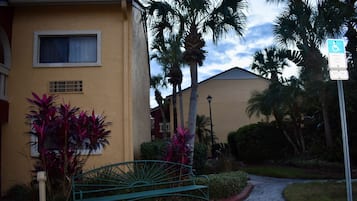 A yellow building with a window and a door, surrounded by palm trees and a green bench.