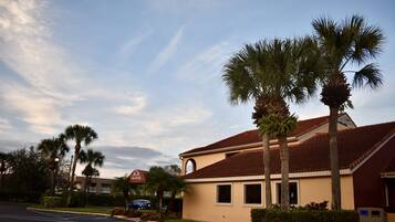 A building with a parking lot and palm trees.
