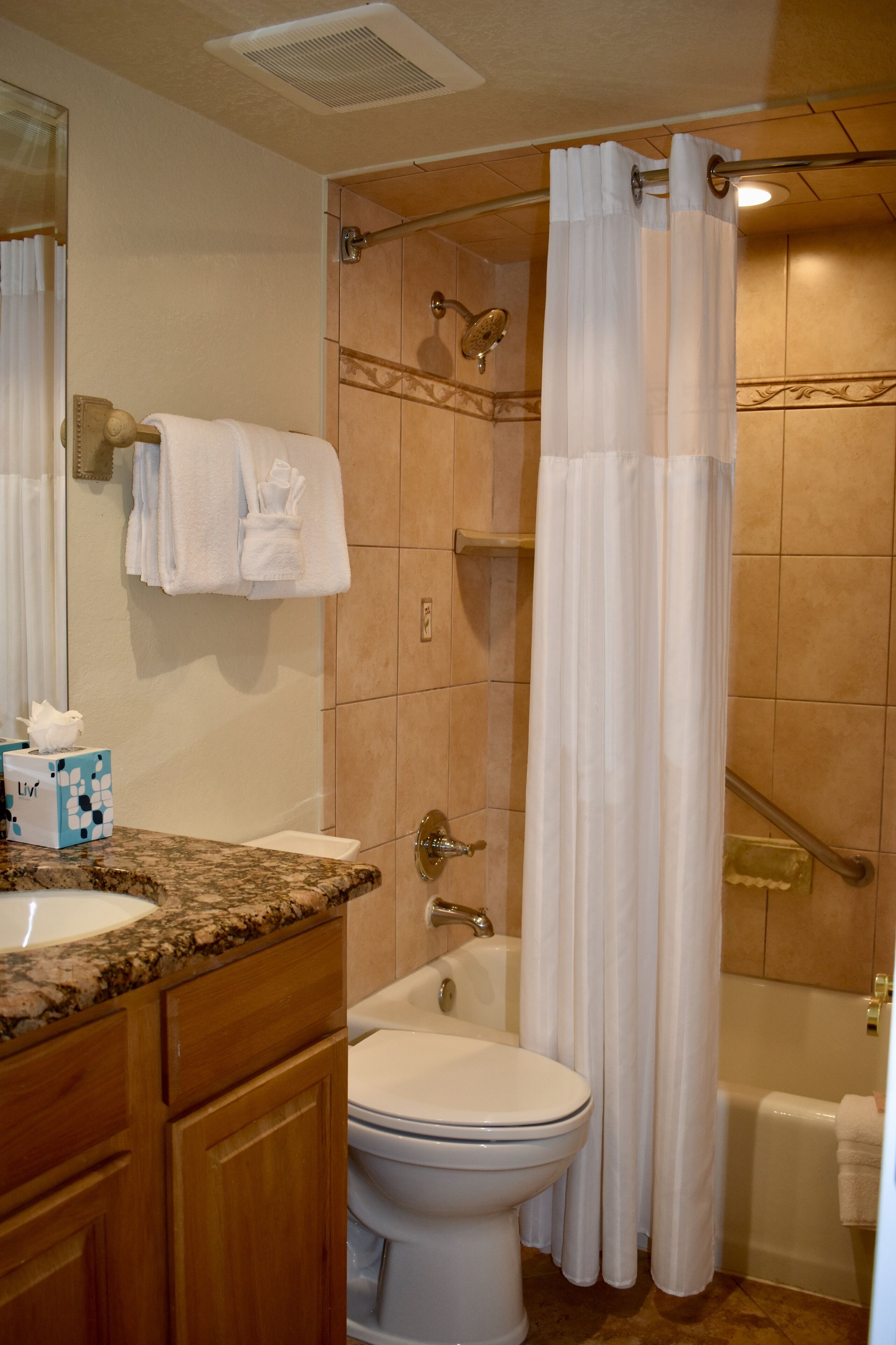 combined shower/bathtub, hair dryer, towels