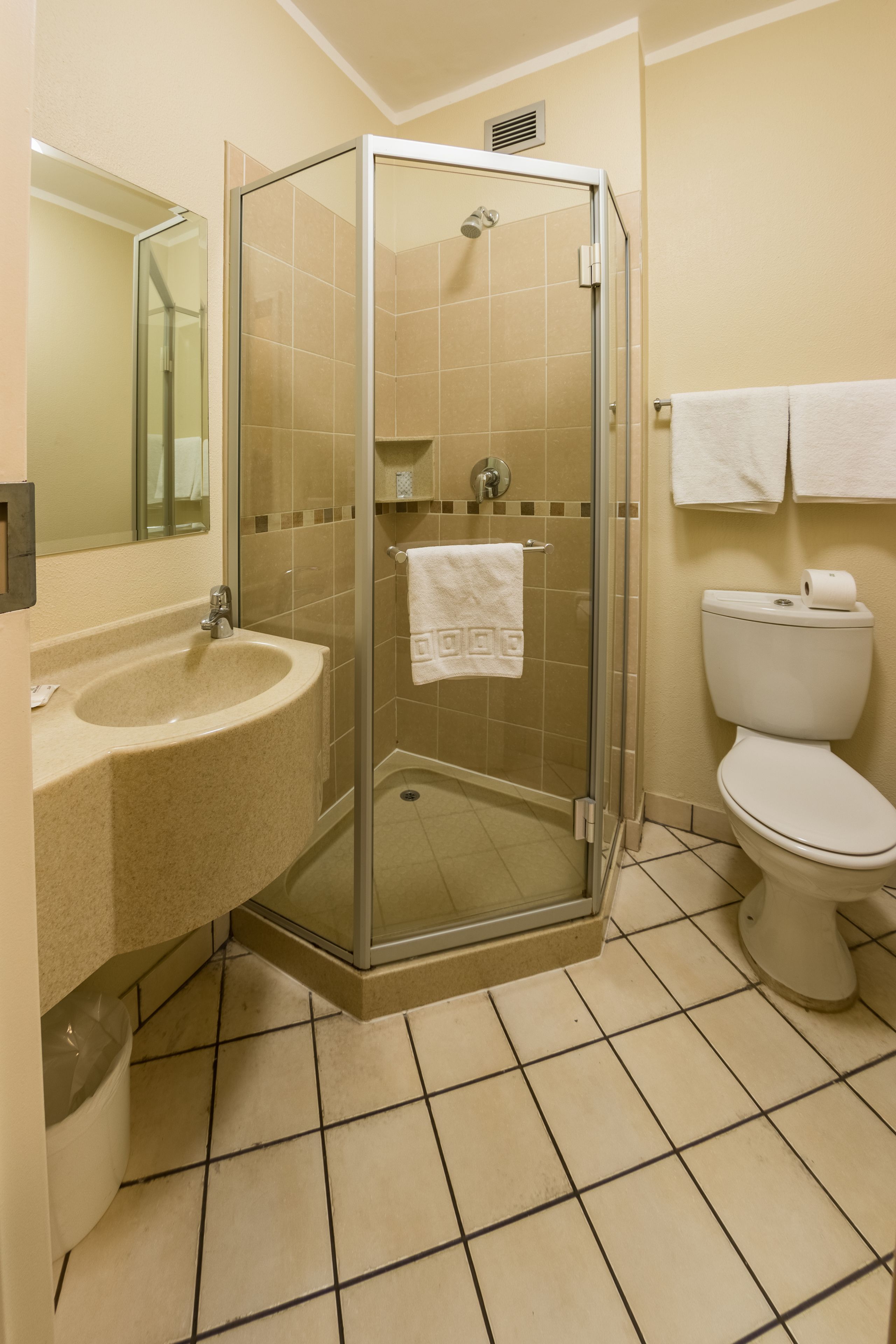 shower, free toiletries, hair dryer, towels