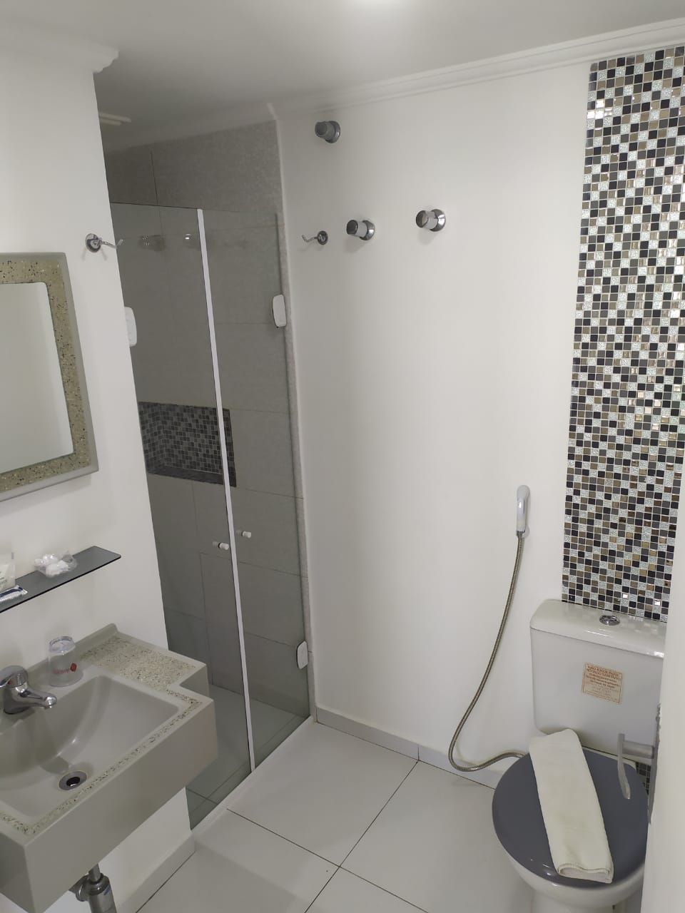 A bathroom with a glass shower enclosure, a toilet with a mosaic tile backsplash, and a sink with a mirror above it.