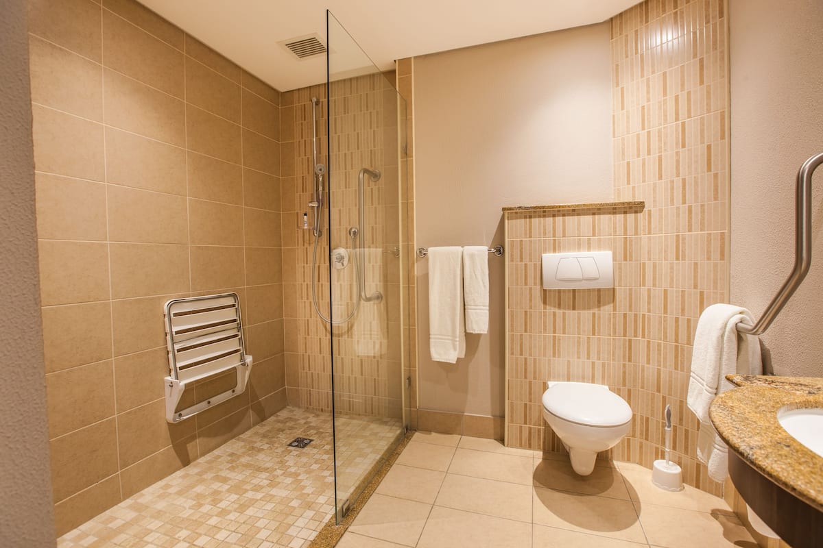 shower, free toiletries, hair dryer, towels
