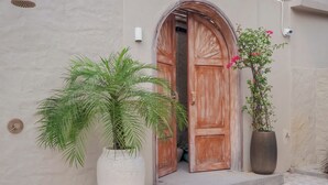 Une porte en bois surmontée d’un arc décoratif, un grand pot de fleurs contenant une plante à feuillage vert, et un plus petit pot de fleurs avec des fleurs roses.