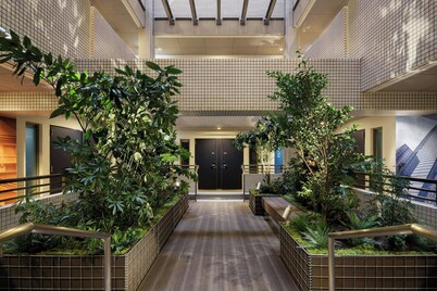 Four Points Flex By Sheraton Tokyo Ueno