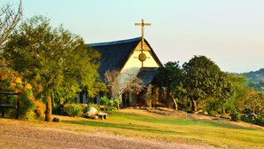 Unclassified image, 4 of 129, button - Bundu Lodge (Mbombela)
