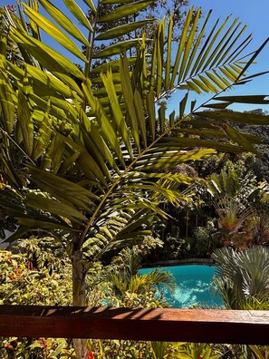 En pool omgivet af frodig tropisk vegetation.