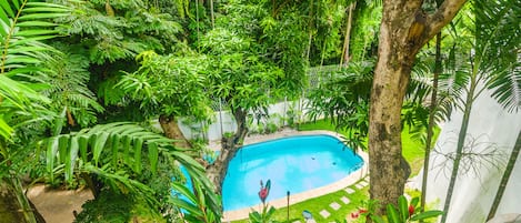 Outdoor pool, sun loungers