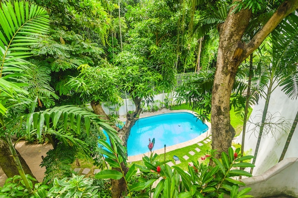 Outdoor pool, pool loungers