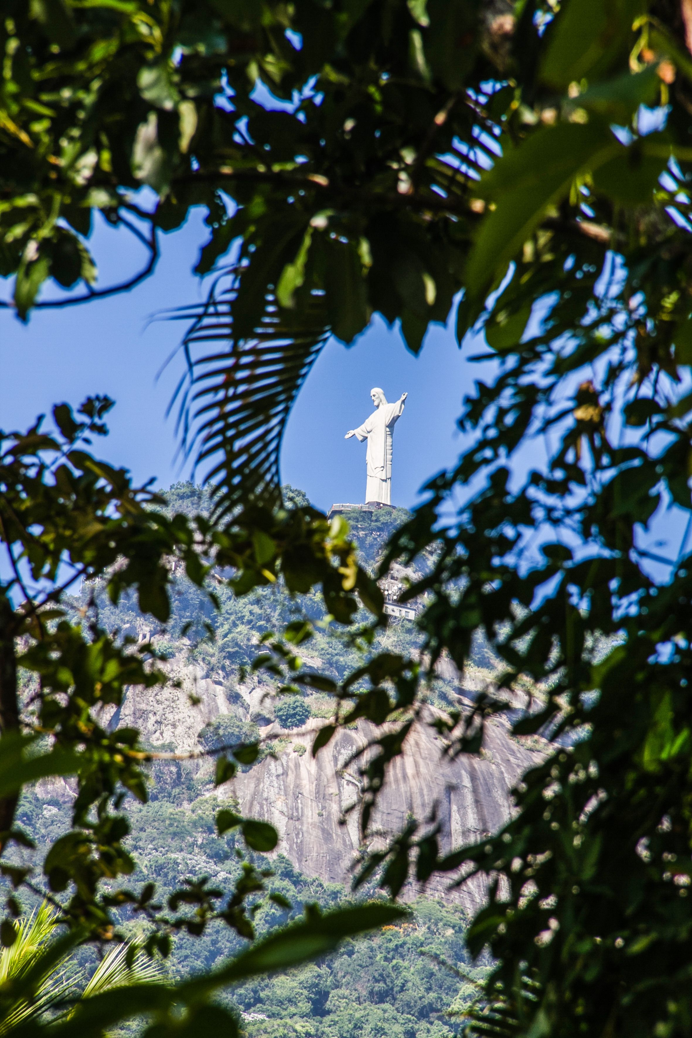 Una statua su una collina, circondata dal verde.