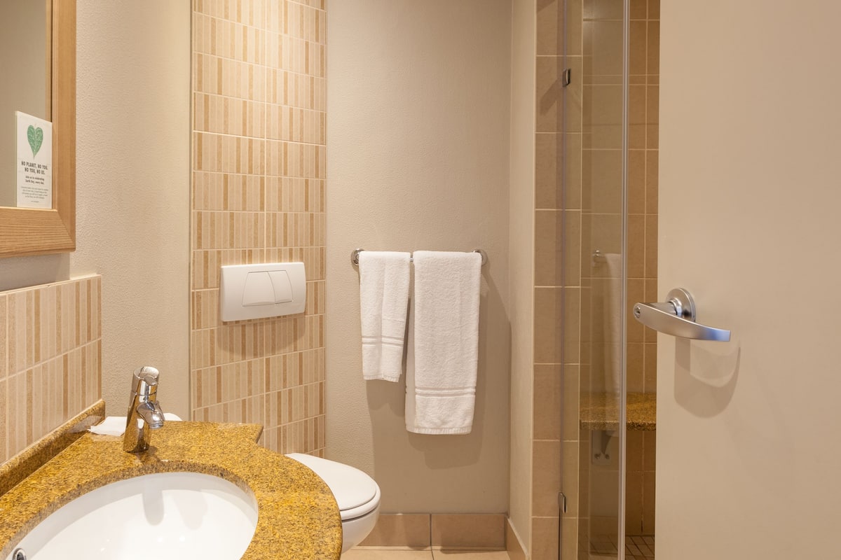 shower, free toiletries, hair dryer, towels