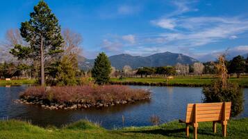 A bench by a lake with trees and mountains in the background.