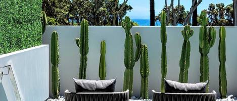 Zwembadterras met twee stoelen en cactussen voor een witte muur, met uitzicht op een wateroppervlak.