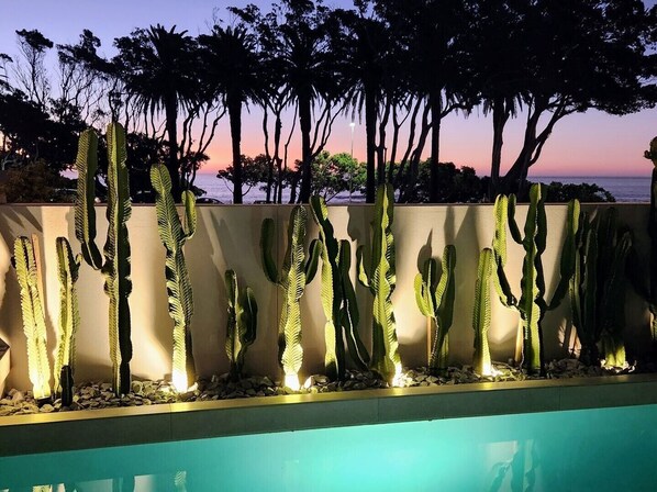 A pool area with cacti and trees in the background.