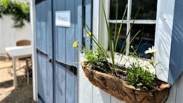 Seasonal outdoor pool, pool umbrellas, pool loungers