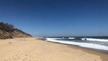 Camastros, sombrillas y toallas de playa