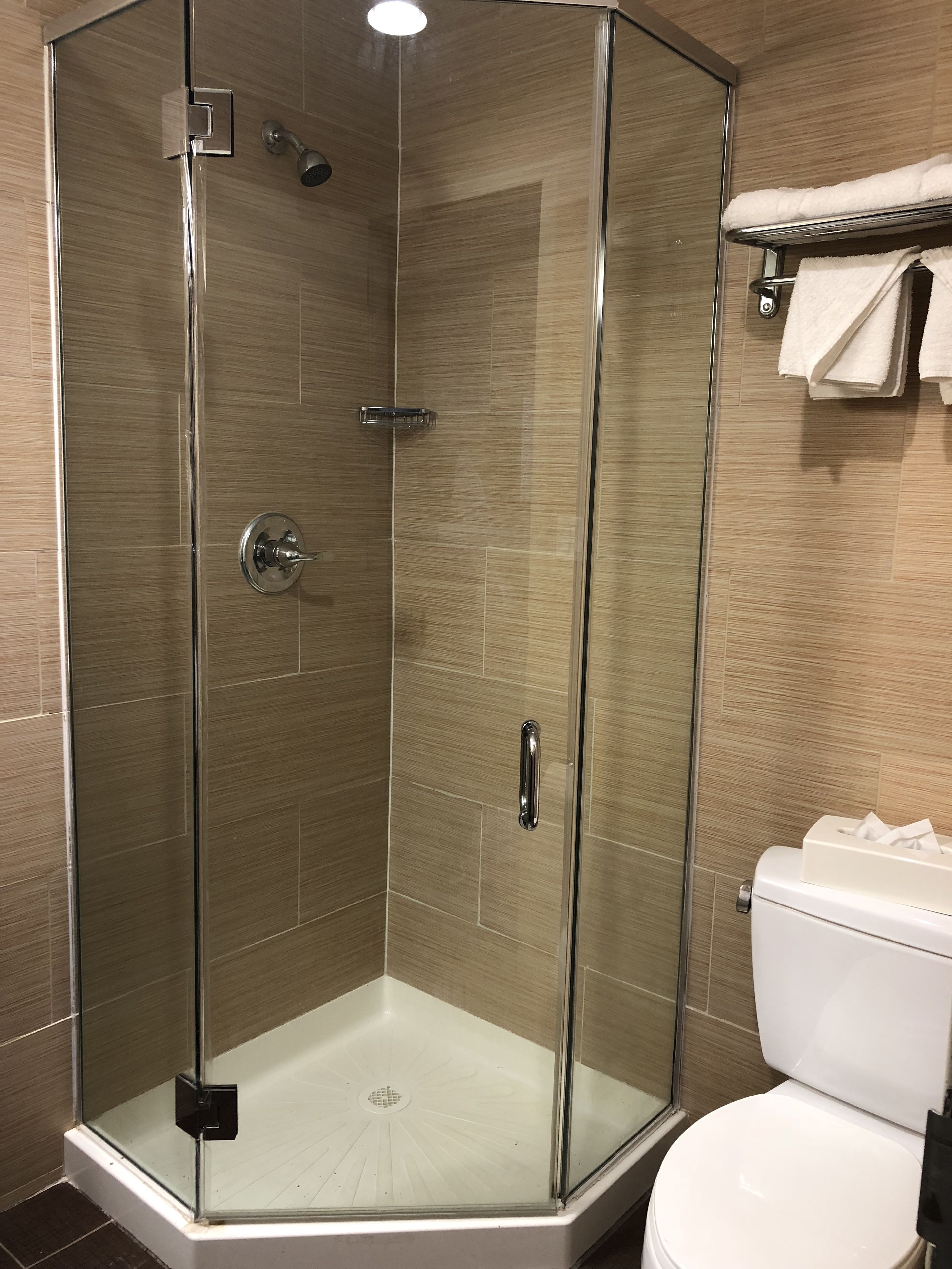 A glass-enclosed shower stall with a white toilet and a towel rack with towels.