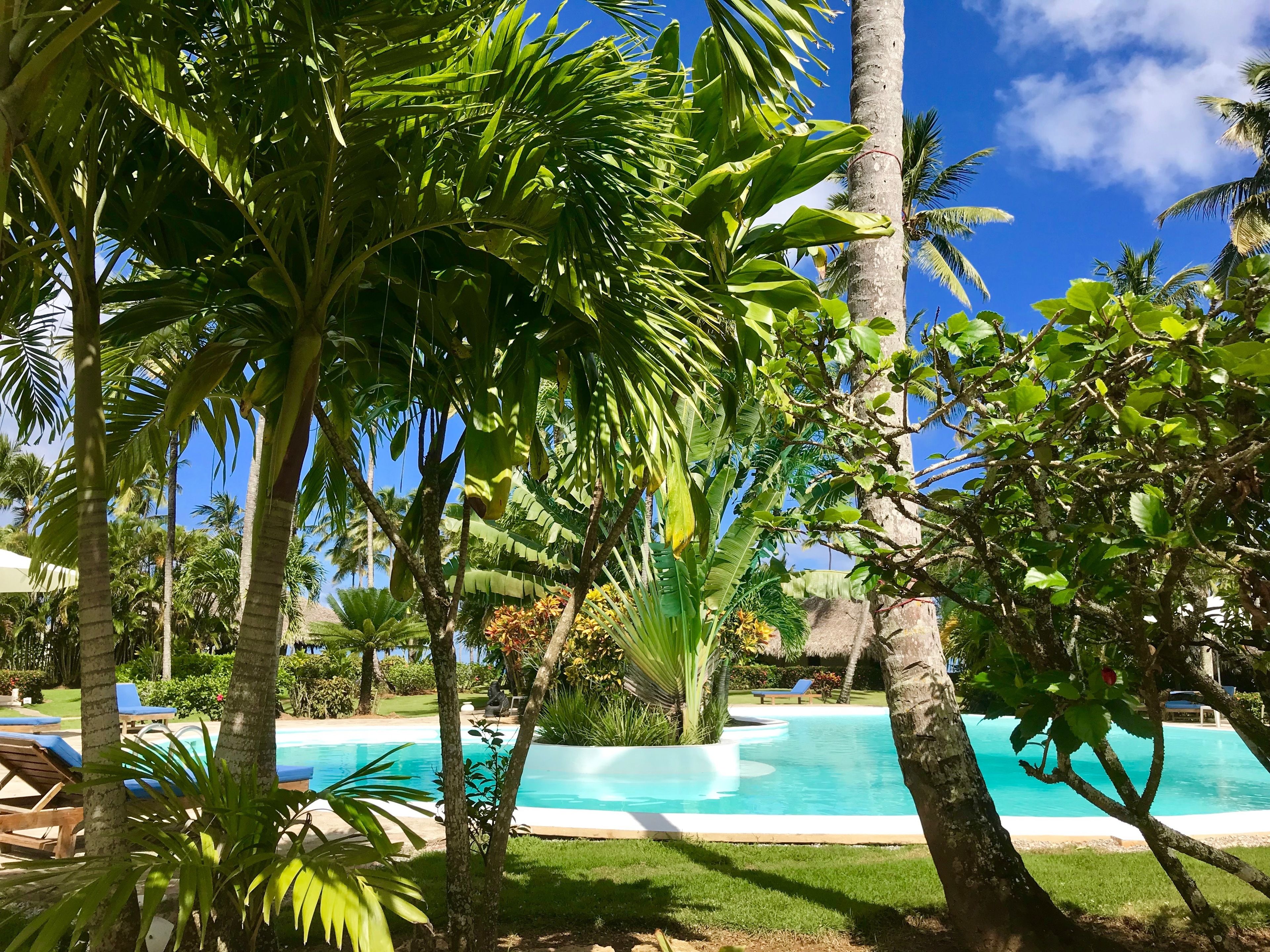 Outdoor pool, sun loungers