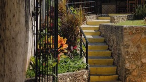 Una escalera con peldaños amarillos que conduce a un área techada con barandilla de metal y plantas en macetas.