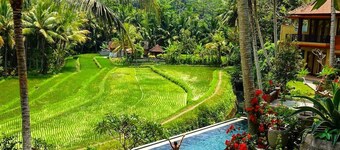 Umasari Rice Terrace Villa