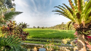 A lush green landscape with a water feature and a variety of tropical plants. - Umasari Rice Terrace Villa (Mengwi)