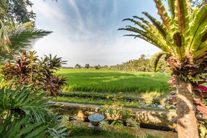 Land view from property - Umasari Rice Terrace Villa (Mengwi)