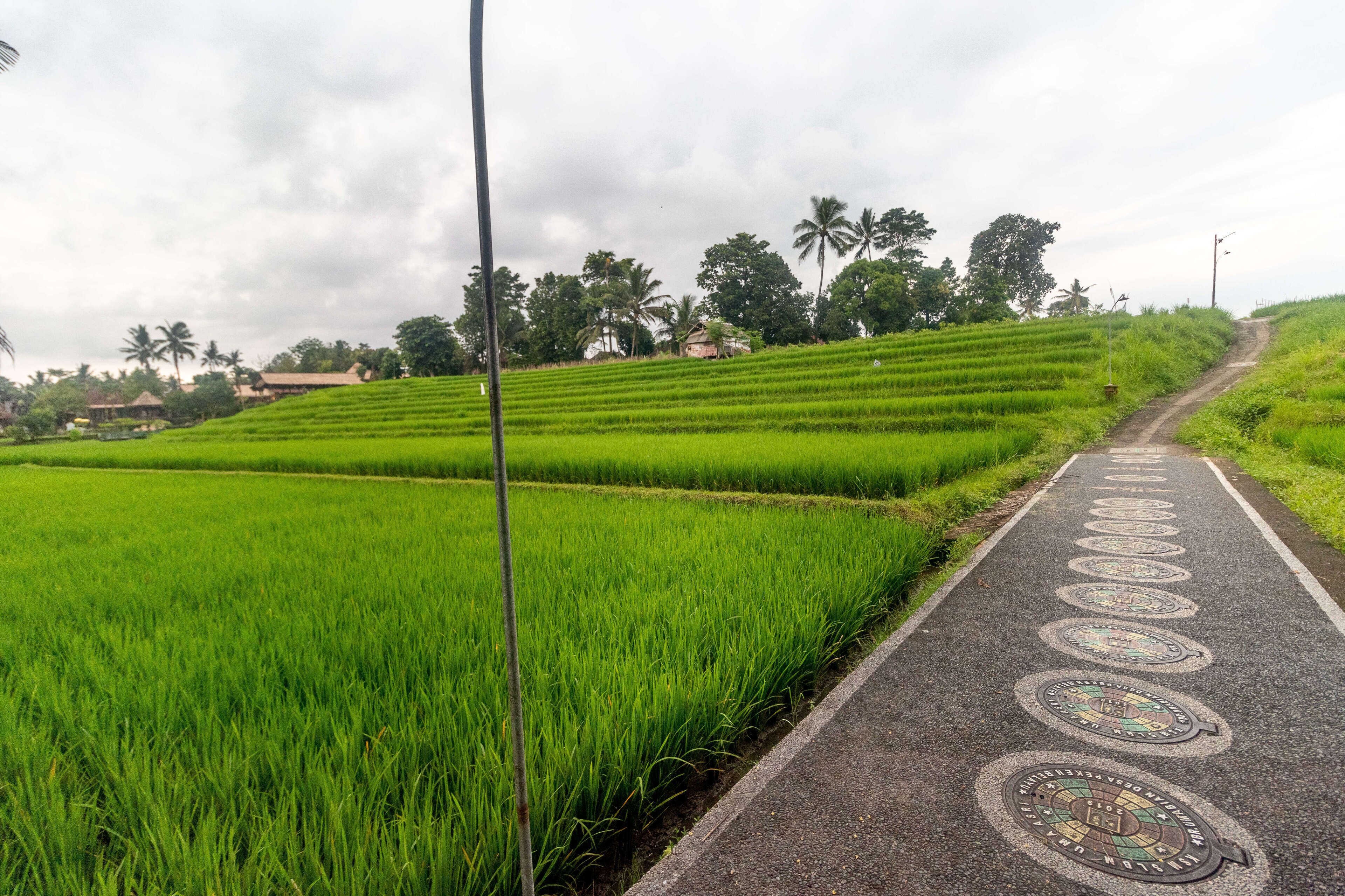 Photo - Umasari Rice Terrace Villa