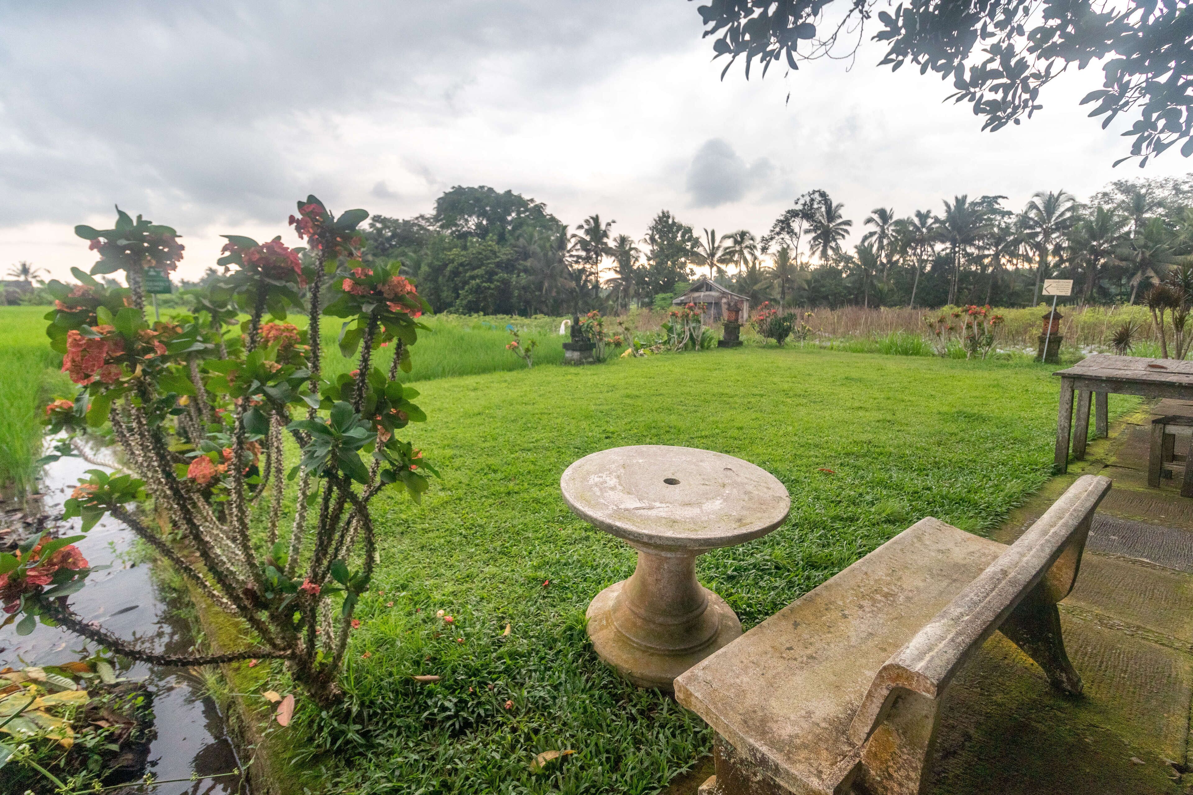 Un jardín con una mesa y un banco de piedra, rodeado de abundante vegetación y un pequeño estanque.