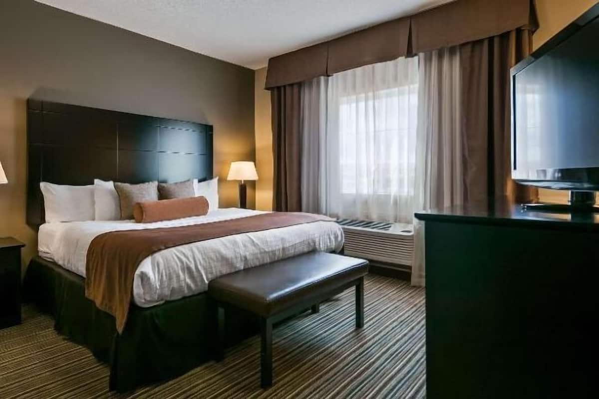 Premium bedding, pillow-top beds, desk, laptop workspace