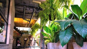 A covered outdoor area with a concrete floor, two bicycles, and large potted plants. - HeyHa House ChiangMai (Chiang Mai)