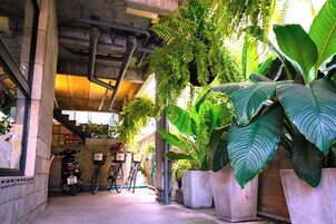 Un espacio al aire libre cubierto con piso de concreto, dos bicicletas y grandes macetas con plantas.
