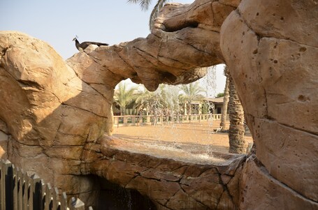 Emirates Park Resort - Image 22
