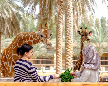 Emirates Park Resort - Image 4