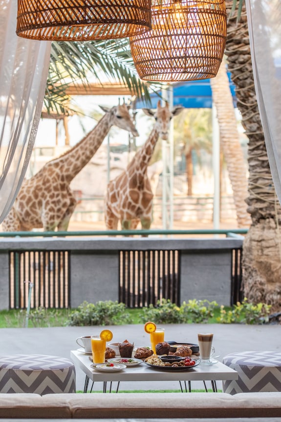 Emirates Park Resort Hotel with Tabby or Tamara 3 Emirates Park Resort Hotel: Ultimate Family Getaway Guide