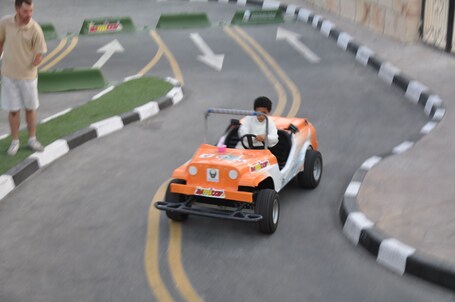 Emirates Park Resort - Image 14