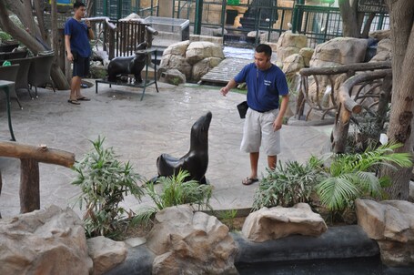 Emirates Park Resort - Image 21