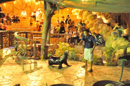 Emirates Park Resort - Image 13