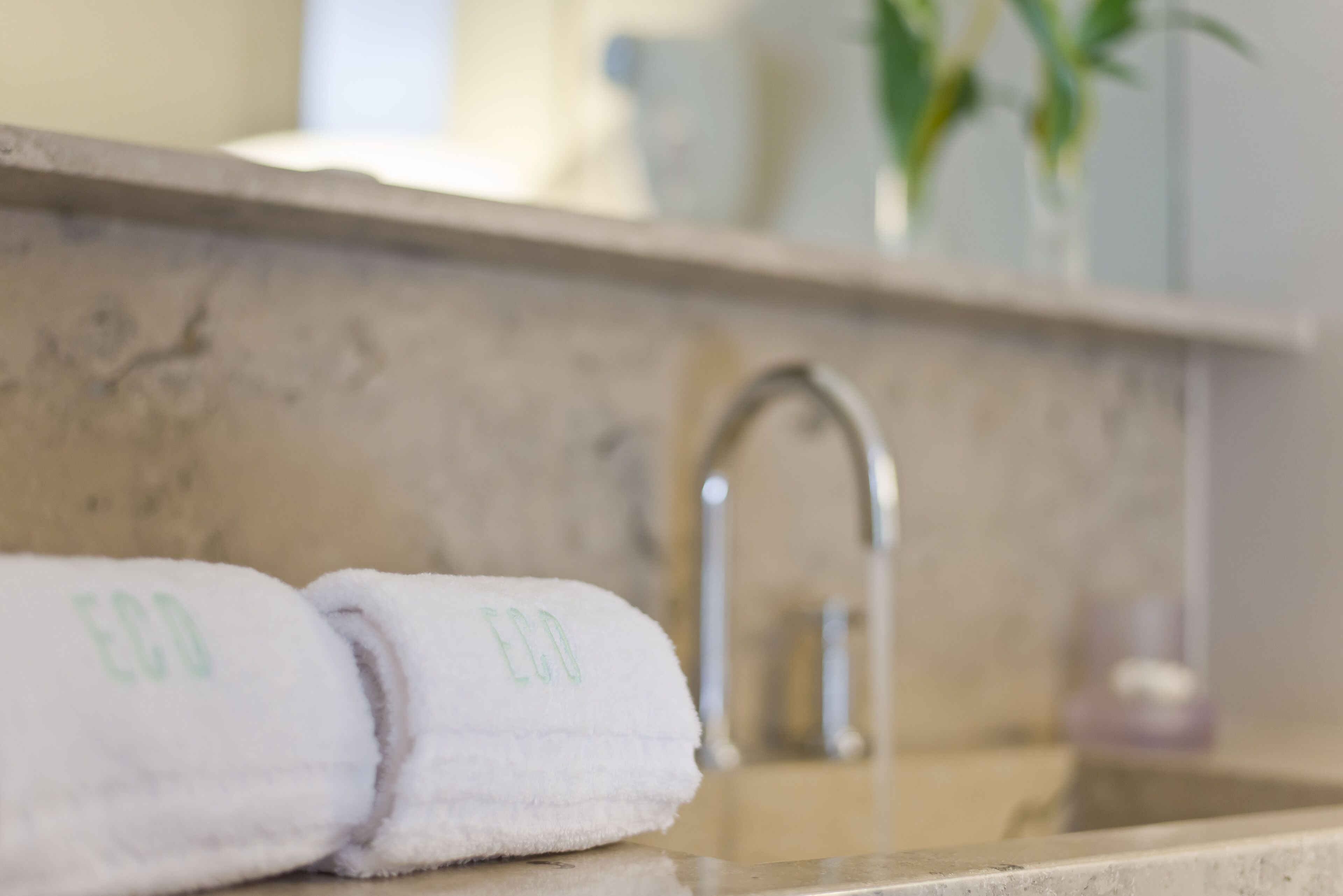 Une salle de bain avec un lavabo, une serviette et une plante en arrière-plan.