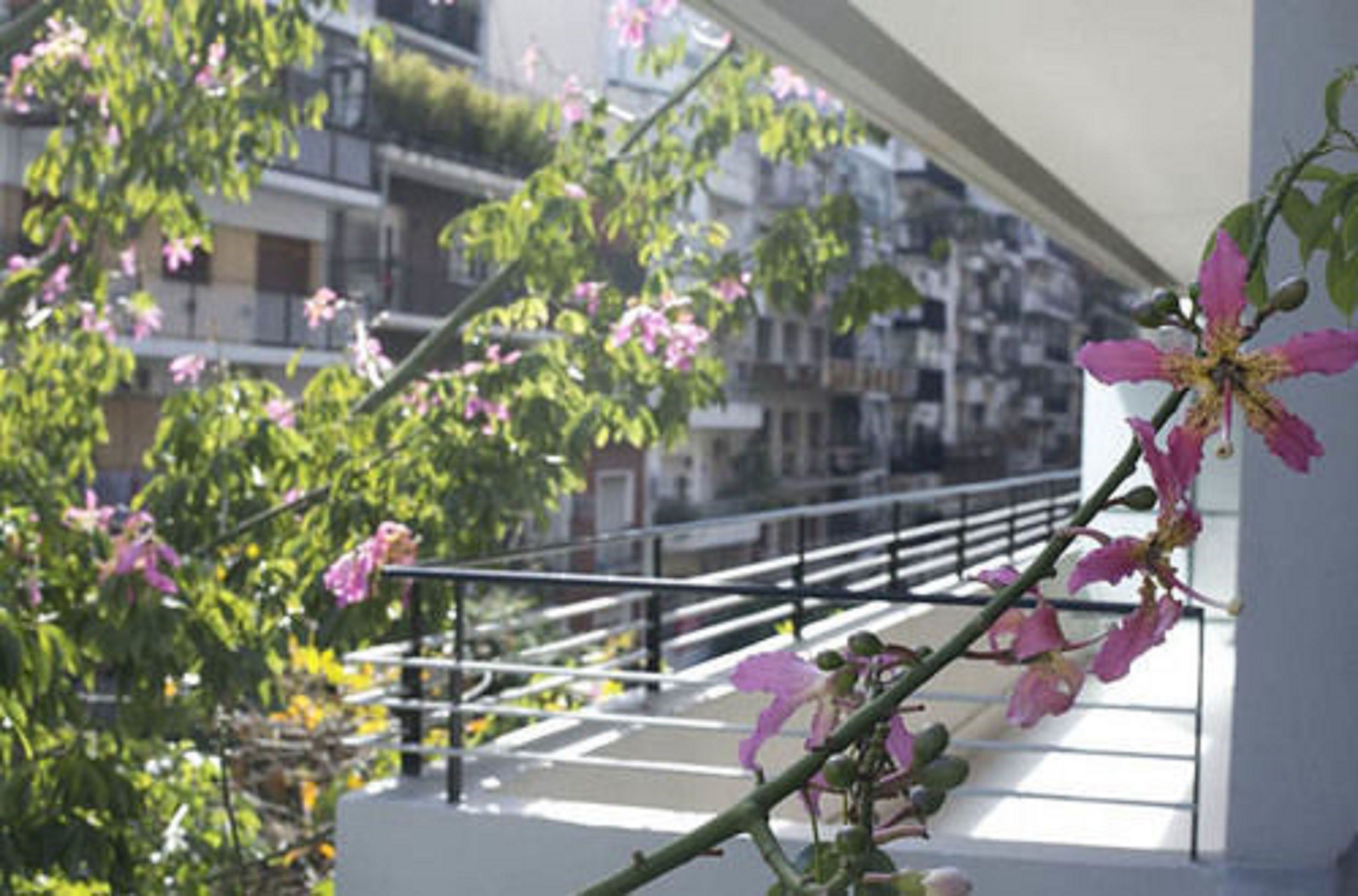 A balcony with a railing, a view of buildings, and a tree with pink flowers.