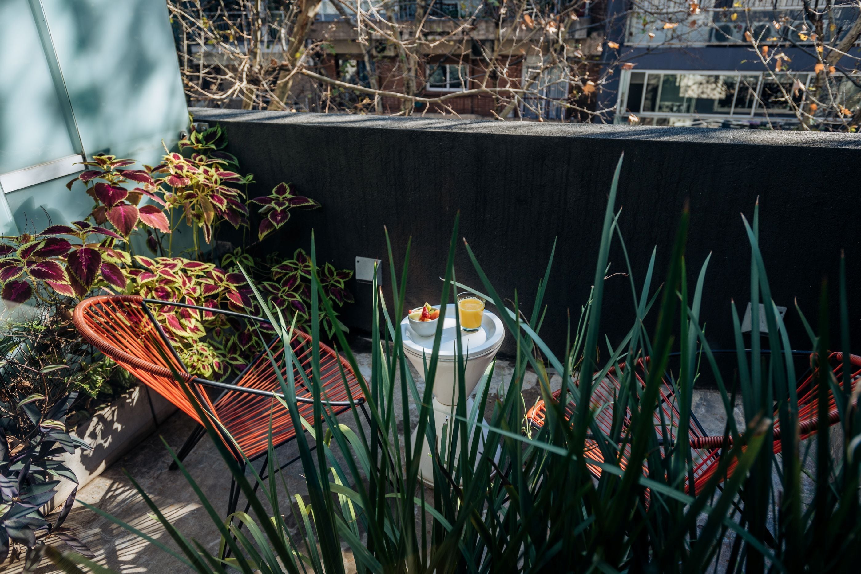 A rooftop garden with potted plants, a small table with a glass of juice, and a red chair.