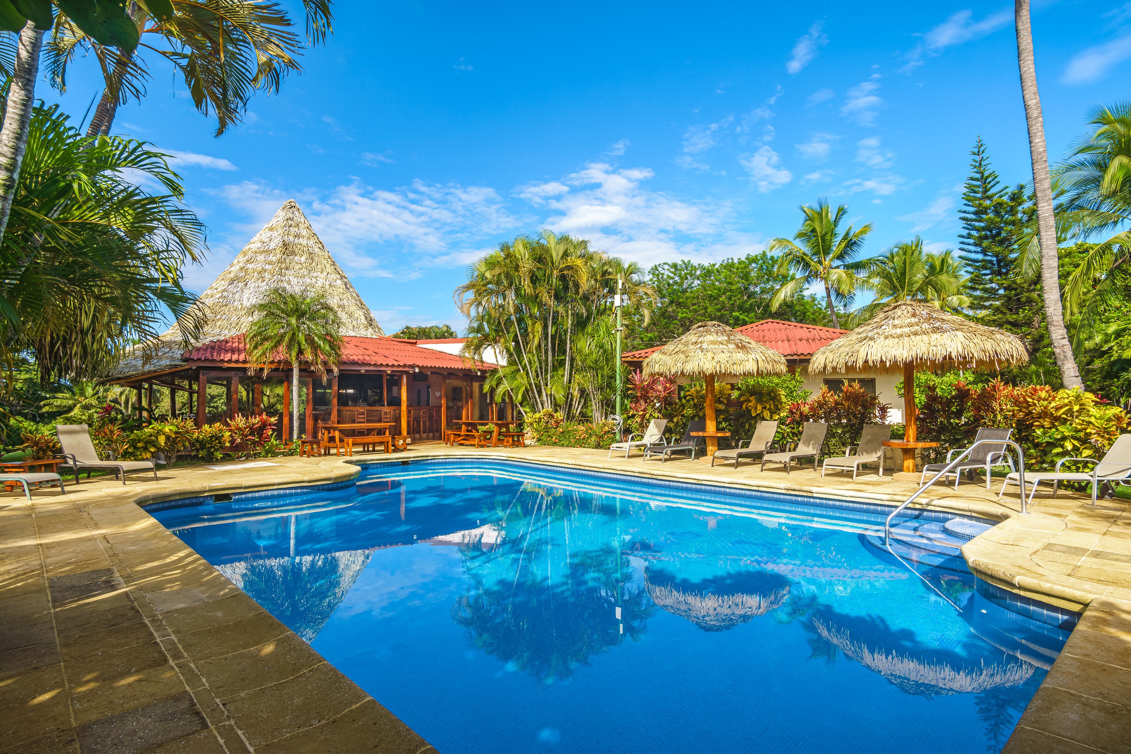 Una piscina con sillas de descanso y estructuras de techo de paja, rodeada de palmeras y plantas tropicales.