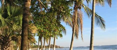 Playa en los alrededores y toallas de playa 