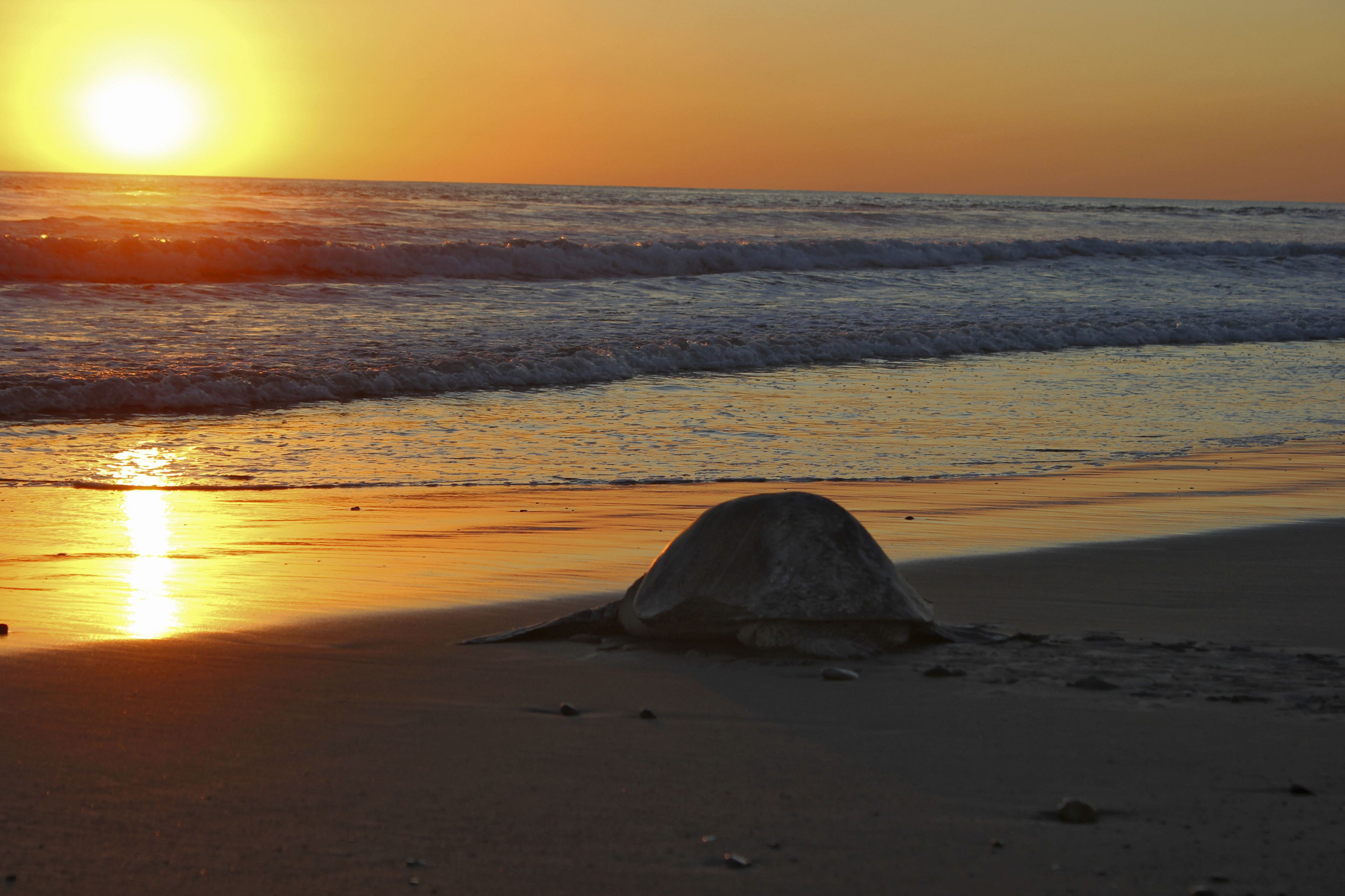 beach nearby, beach towels
