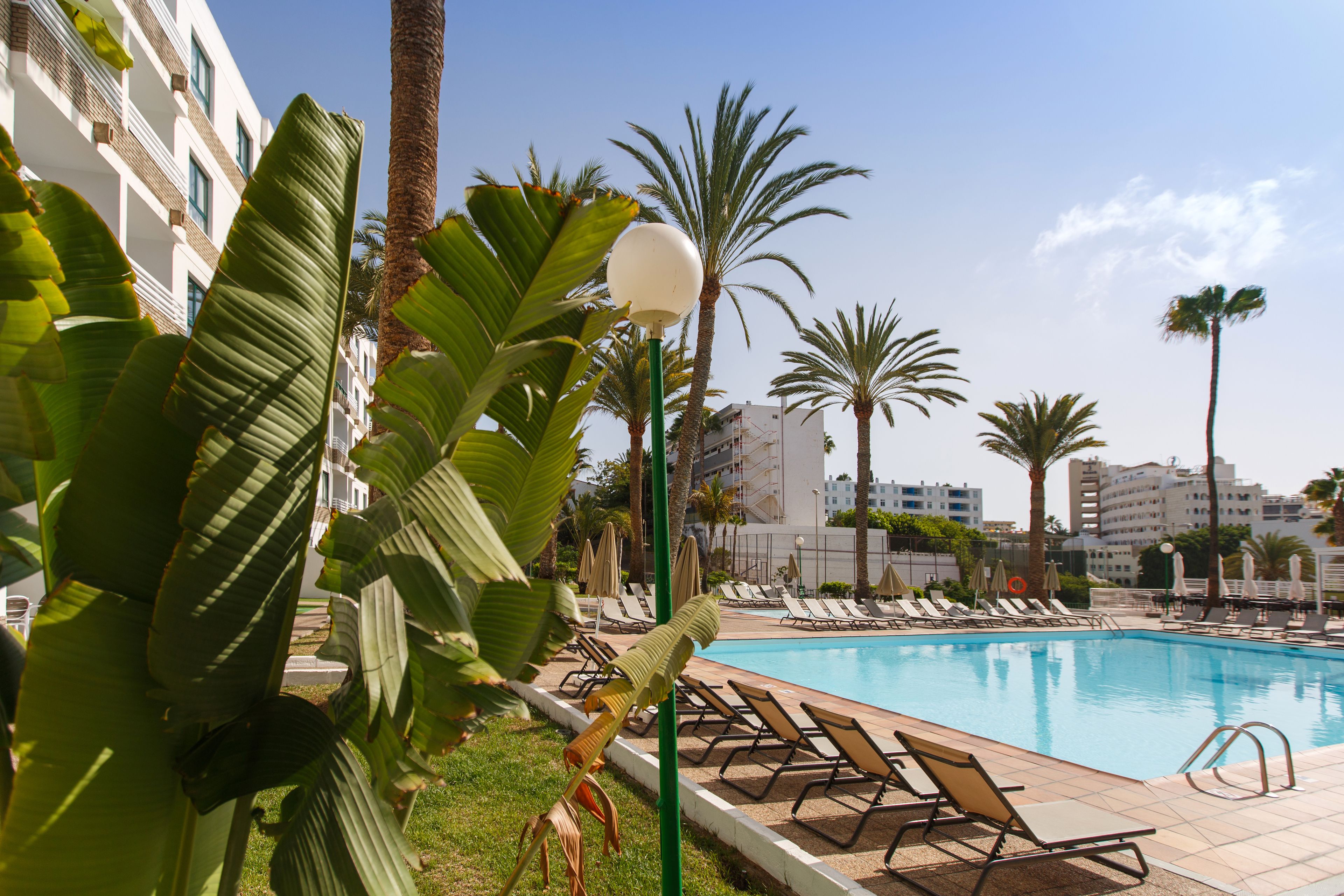 A pool area with lounge chairs and palm trees.