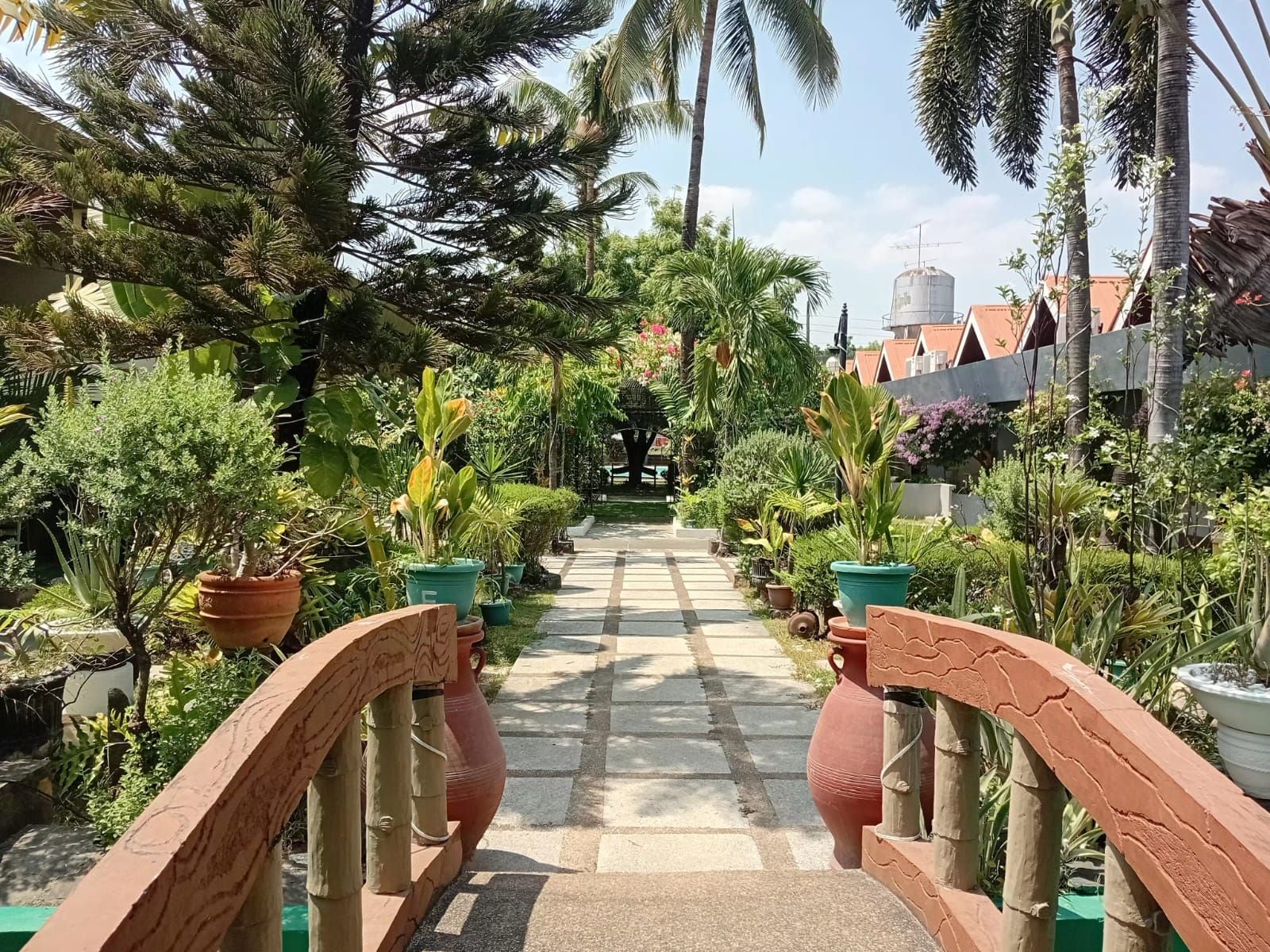 Un chemin bordé de plantes en pot et de palmiers, qui mène à un bâtiment avec un réservoir d'eau en arrière-plan.