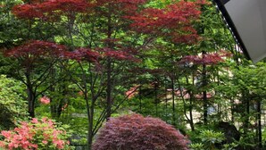 A traditional Japanese garden with stone pathways, various trees, and a small pond. - Oyado Kiyomizuya (Noboribetsu)